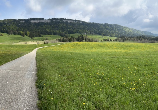 23-05-21 16-52-18 5534